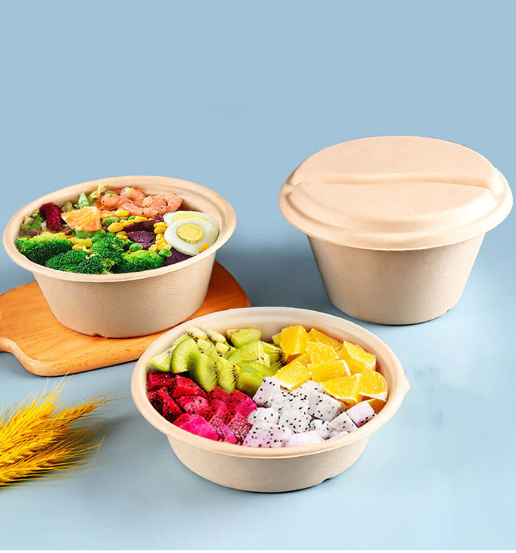 Eco Friendly Disposable Food Containers: How They Benefit Your Business and the Environment?