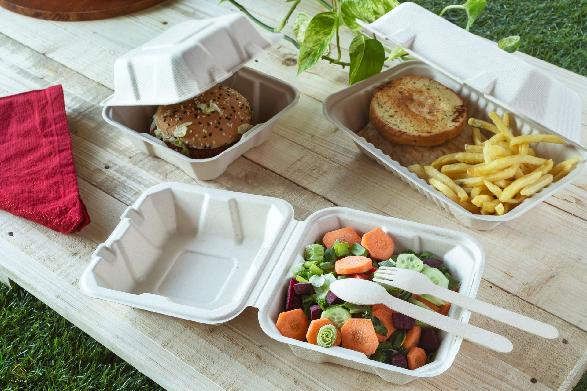 Switching to Biodegradable Clamshell Food Containers: A Step Towards a Greener Future